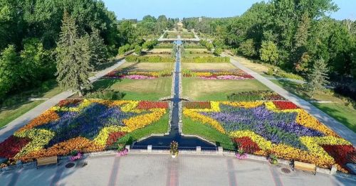Aerial view of a vibrant flower garden with colorful patterns, pathways, and a central water feature surrounded by trees.