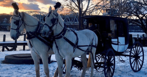 Two white horses in harness stand beside a vintage carriage, with a scenic sunset and bridge in the background.