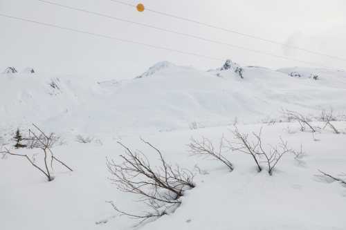 A snowy landscape with distant mountains and sparse, bare branches in the foreground under a cloudy sky.