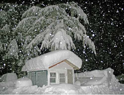 A small house covered in thick snow, surrounded by snow-laden trees, with heavy snowfall creating a winter wonderland.