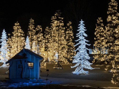 A winter scene with illuminated trees and a small wooden structure, all aglow with festive lights at night.