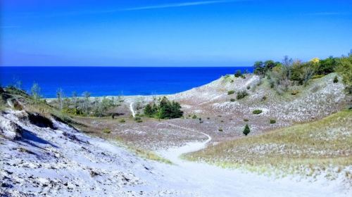 A scenic view of sandy dunes leading to a calm blue lake under a clear sky. Green trees dot the landscape.