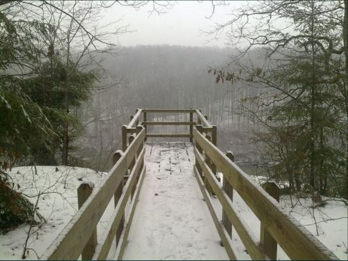 A wooden bridge leads into a snowy landscape, surrounded by trees and a misty, foggy atmosphere.