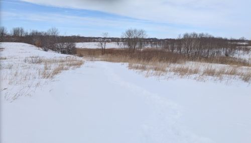 A snowy landscape with a winding path, surrounded by sparse trees and grass under a cloudy sky.