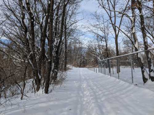 A snowy path lined with bare trees and a fence, under a partly cloudy sky.