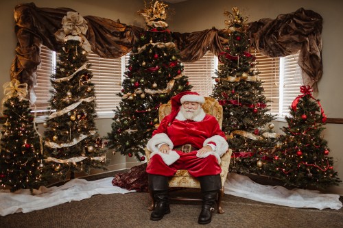 Santa Claus sits in a chair surrounded by decorated Christmas trees, creating a festive holiday atmosphere.