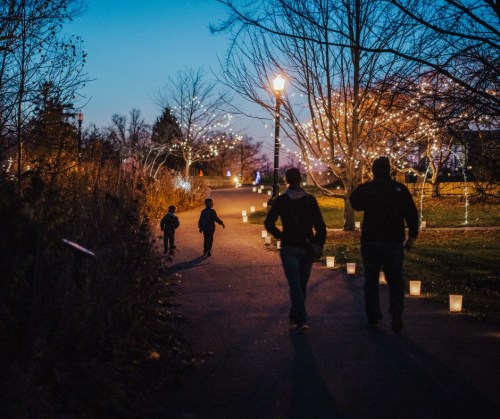 A family walks along a path lined with lanterns, surrounded by trees adorned with lights at dusk.