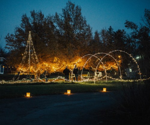 A beautifully lit outdoor scene with trees adorned in warm lights, creating a cozy atmosphere at dusk.