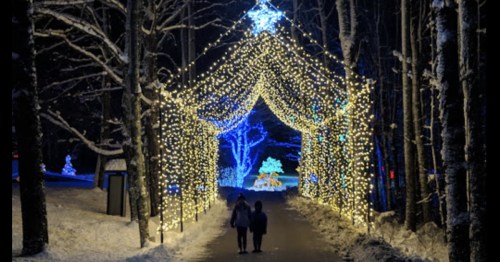 A snowy path illuminated by festive lights, with two figures walking under a sparkling archway of decorations.