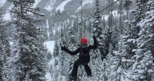 A person zip-lining through a snowy forest, surrounded by tall pine trees and mountains in the background.