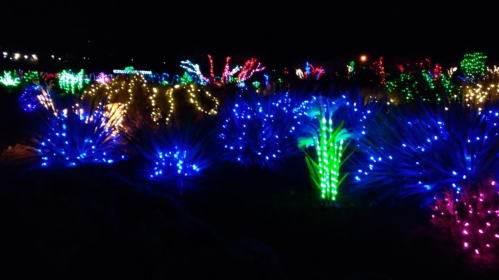 Colorful illuminated plants and shrubs in various hues of blue, green, and yellow, creating a vibrant night scene.