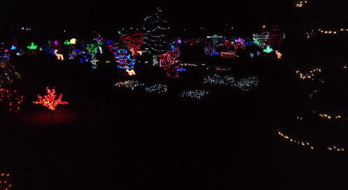 A vibrant display of colorful holiday lights illuminating a dark landscape, featuring various festive shapes and trees.