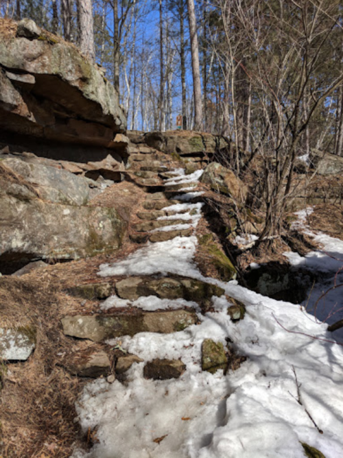 A rocky path leads up through a snowy forest, with trees lining the sides under a clear blue sky.