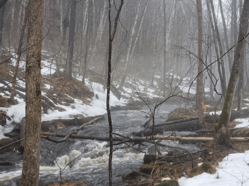 A misty forest scene with a flowing stream, snow on the ground, and bare trees in a tranquil, foggy atmosphere.