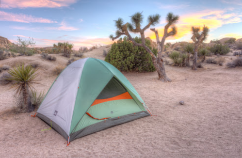 A green and gray tent set up in a desert landscape with Joshua trees and a colorful sunset in the background.