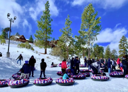 A snowy landscape with people tubing, surrounded by tall pine trees and a clear blue sky.