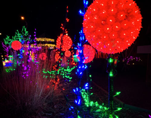 Colorful holiday lights illuminate trees and decorations in a festive nighttime display.