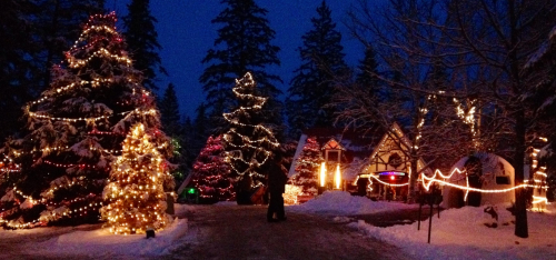 A snowy scene with decorated Christmas trees and a cozy house illuminated by festive lights at dusk.