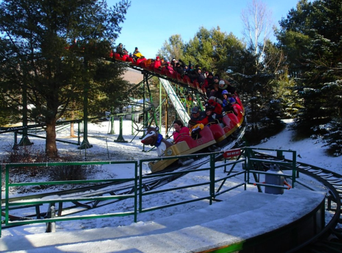 A roller coaster with riders in winter attire descends through a snowy landscape surrounded by trees.