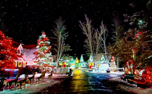 A snowy street lined with colorful holiday lights, decorated trees, and reindeer, creating a festive winter scene.