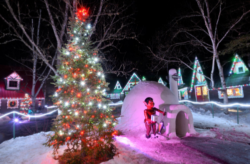 A festive scene with a lit Christmas tree, an igloo, and colorful lights on nearby houses in a snowy landscape.