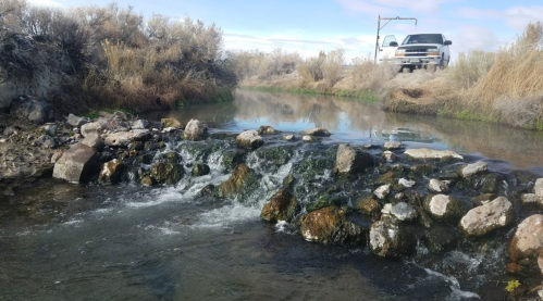 A shallow stream with rocks and gentle rapids, bordered by tall grass, with a vehicle parked nearby on the bank.