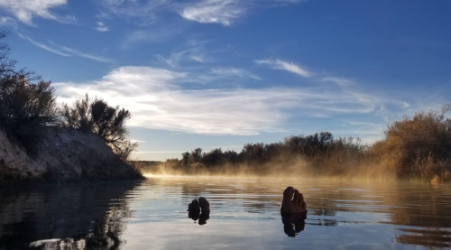 A serene river scene at dawn, with mist rising and trees lining the banks under a blue sky with wispy clouds.