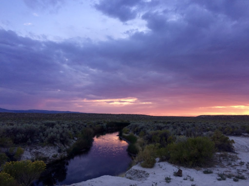 A serene landscape at sunset, featuring a winding stream surrounded by lush vegetation and colorful clouds.