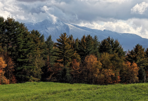 A scenic view of mountains in the background, surrounded by colorful autumn trees and a green field.