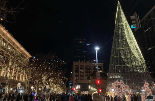 A festive scene at night with a large illuminated Christmas tree and crowds of people enjoying holiday lights.