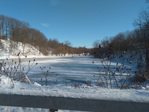 A snowy landscape with a frozen lake, surrounded by trees and a clear blue sky.