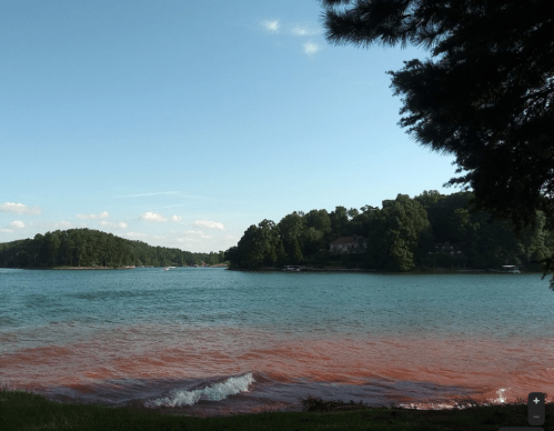 A serene lake scene with calm waters, green trees, and a distant shoreline under a clear blue sky.