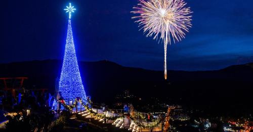 A brightly lit blue Christmas tree with fireworks in the night sky above a festive outdoor setting.