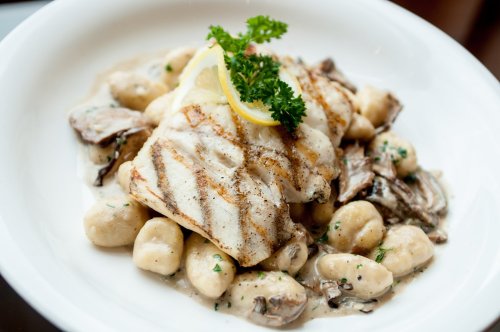 Grilled fish fillet topped with lemon and parsley, served over creamy gnocchi and mushrooms.