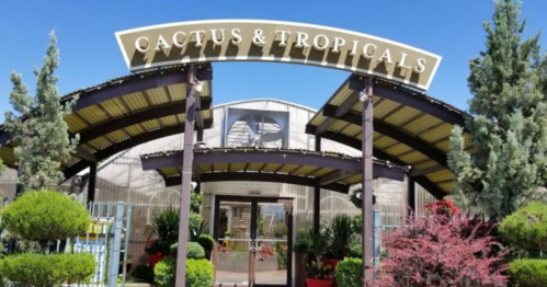 Entrance of a greenhouse with a sign reading "Cactus & Tropicals," surrounded by lush greenery and colorful plants.