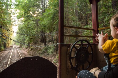 A child sits in a train cabin, reaching out towards a forested railway track ahead.