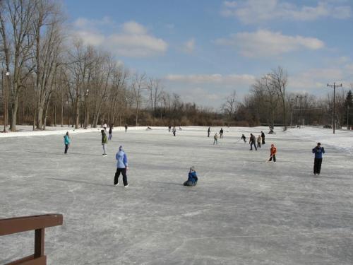People ice skating on a frozen pond surrounded by bare trees under a partly cloudy sky.