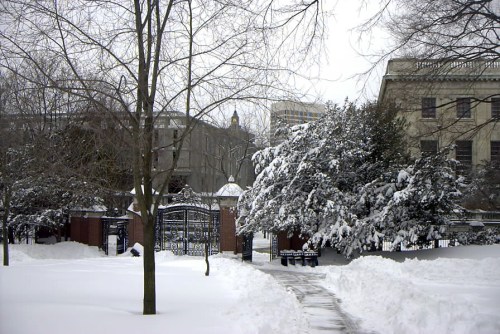 Snow-covered park entrance with trees and a path, surrounded by buildings in a winter scene.