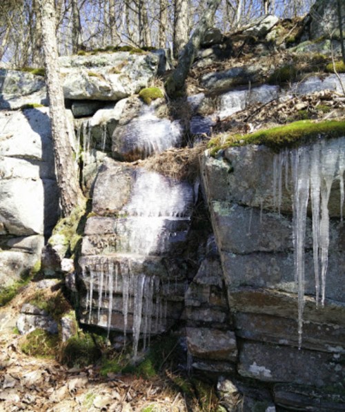 Icicles hanging from rocky terrain, surrounded by trees and moss, with sunlight filtering through the branches.