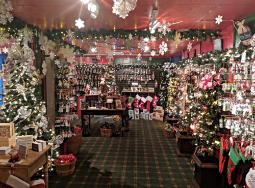 A festive store interior decorated with Christmas trees, lights, and holiday merchandise, creating a cozy atmosphere.