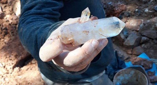 A person holding a large clear quartz crystal with smaller crystals beside it, surrounded by dirt and rocks.