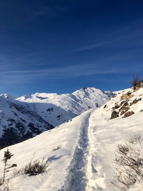 A snowy mountain path winds through a winter landscape under a clear blue sky.