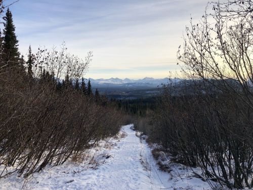 A snowy path leads through bare bushes, with mountains visible in the distance under a clear sky.