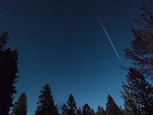 A clear night sky filled with stars, featuring a bright meteor streaking across above silhouetted trees.