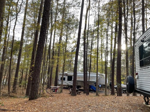 A camper parked among tall trees in a wooded area, with sunlight filtering through the leaves.