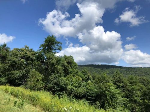 Lush green trees and rolling hills under a bright blue sky with fluffy white clouds.