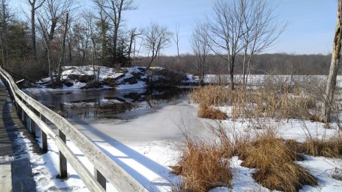 A snowy landscape with a frozen pond, wooden walkway, and bare trees under a clear blue sky.