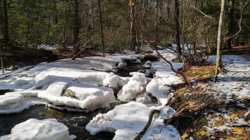 A serene forest scene with a stream partially covered in ice and snow, surrounded by trees and fallen leaves.