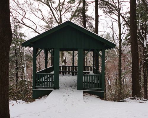 A green gazebo in a snowy forest, surrounded by trees and a path leading to it.