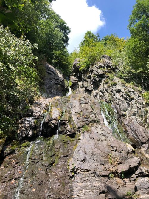 A cascading waterfall flows down rocky terrain, surrounded by lush green trees and a bright blue sky.